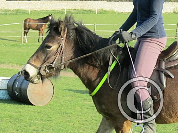 Julia riding Appley (8)