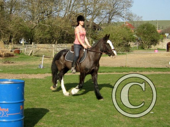 Louise riding Jess (11)