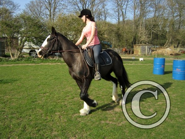 Louise riding Jess (12)