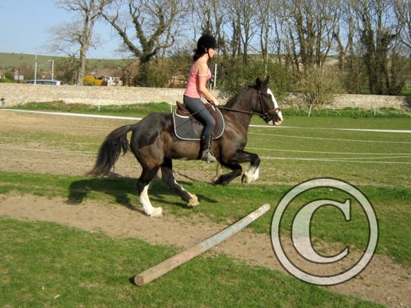 Louise riding Jess (13)