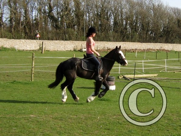 Louise riding Jess (14)