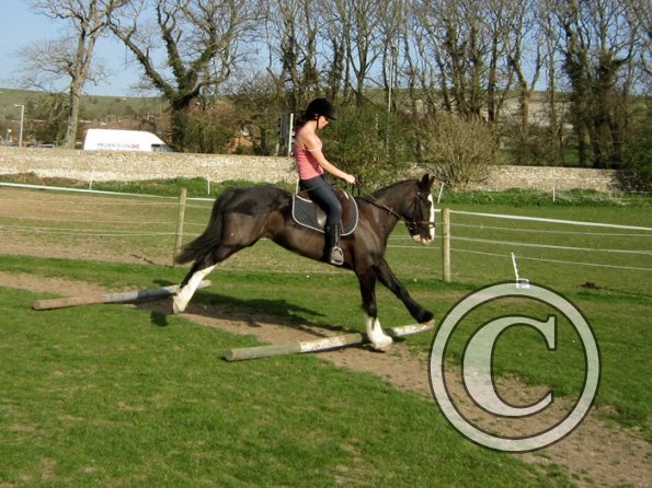 Louise riding Jess (15)