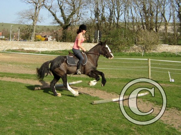 Louise riding Jess (16)
