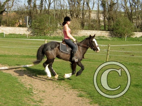 Louise riding Jess (17)