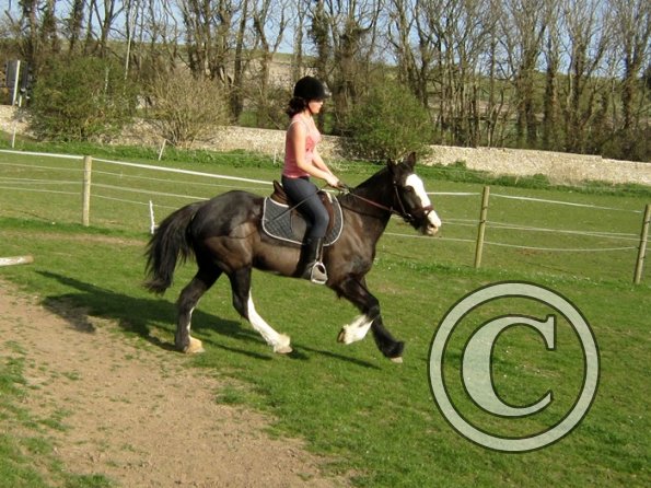 Louise riding Jess (18)