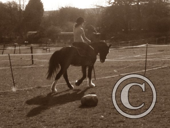 Louise riding Jess (19)