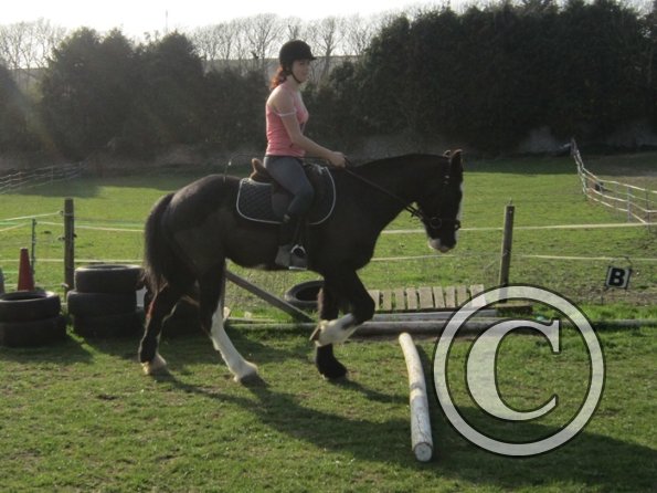 Louise riding Jess (21)
