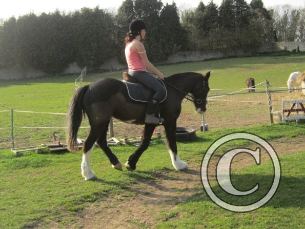 Louise riding Jess (22)