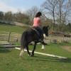 Louise riding Jess (3)