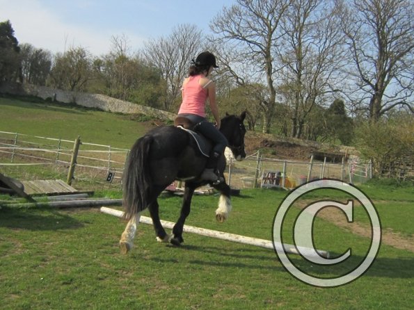 Louise riding Jess (3)