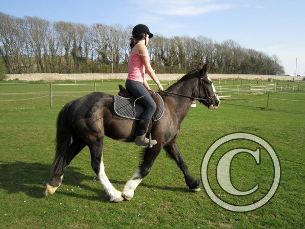 Louise riding Jess (5)