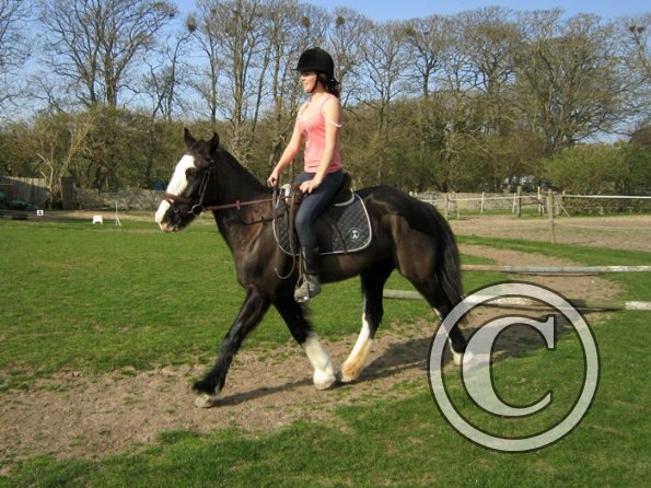 Louise riding Jess (7)