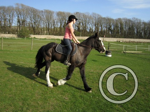 Louise riding Jess (9)