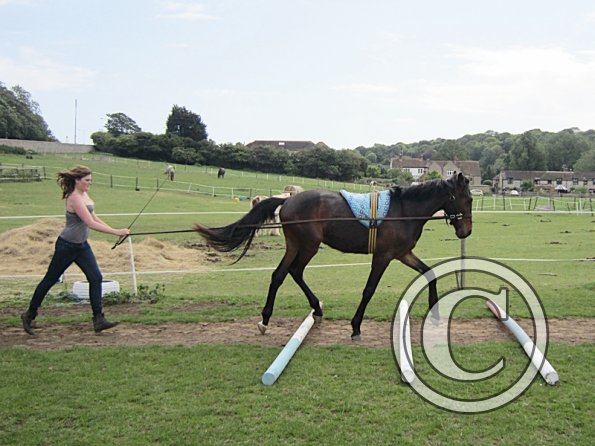 Fluke long reining (14)