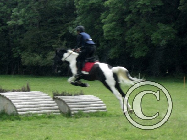 JD Rolltop brush (2)