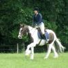 Lance canter (2)