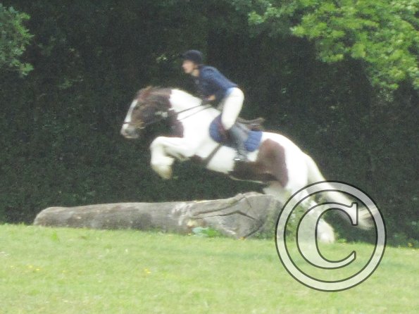 Lance little log (2)