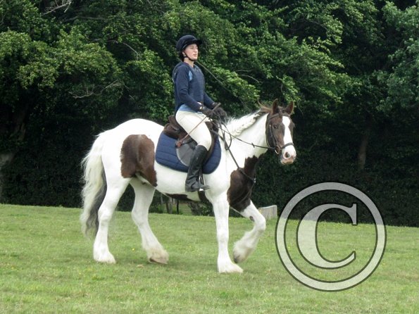 Lance posing for camera