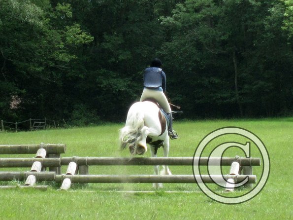 Lance triple bar (2)