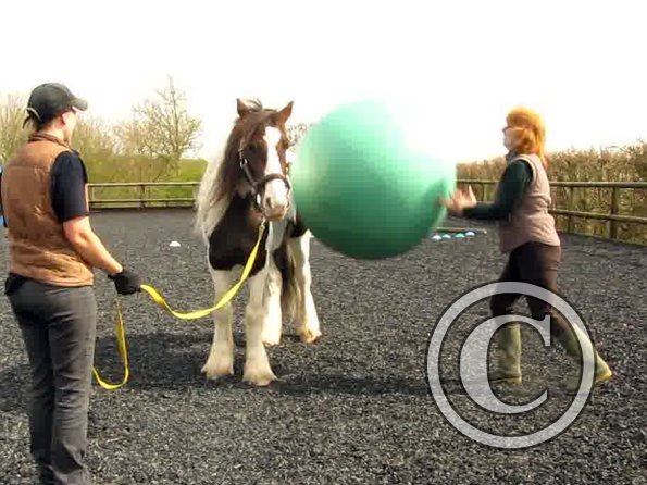 Ball Lance video (3)