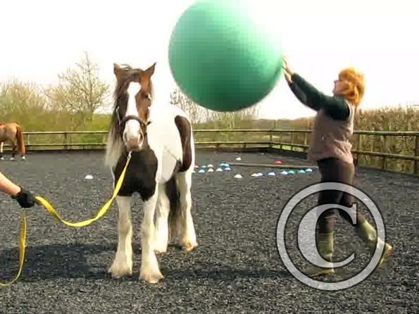 Ball Lance video (4)