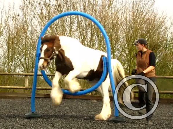 Blue thing Lance (3)