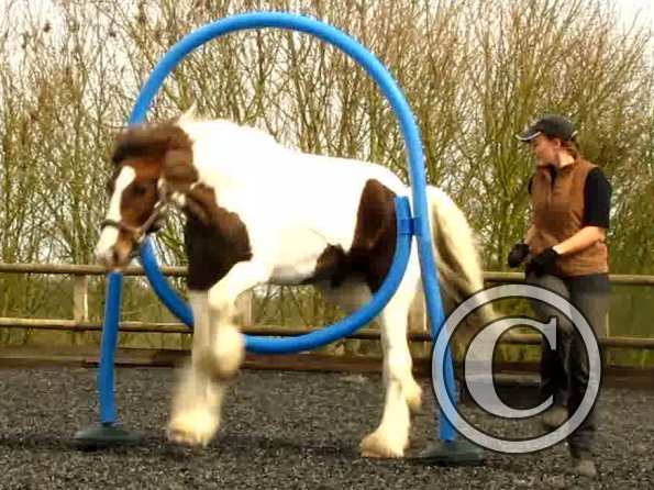 Blue thing Lance (4)