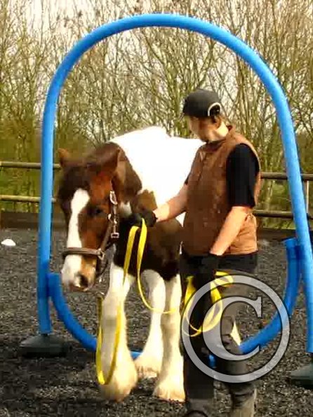 Blue thing Lance (5)