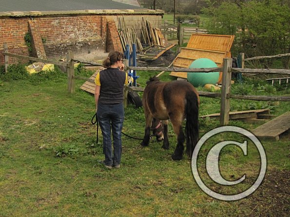 Julia and Appley waiting