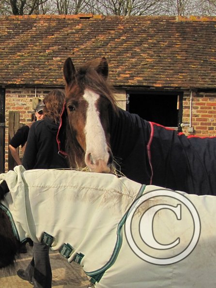 Lance and Appley concrete paddock