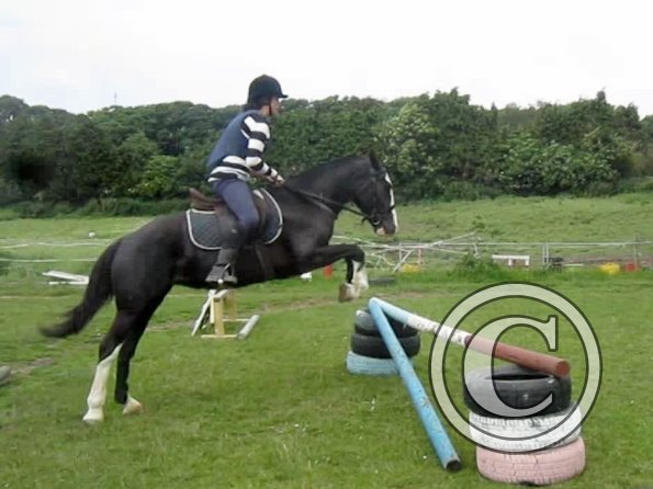 Her mothers daughter - Copy