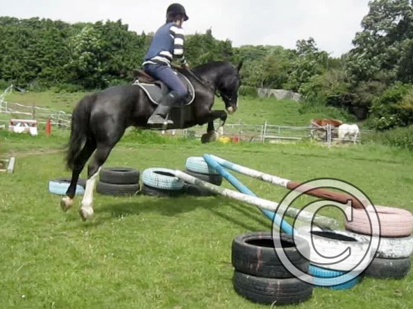 Louise and Jessie (16)