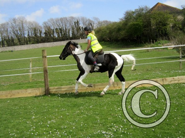 Jade lesson on JD (10)