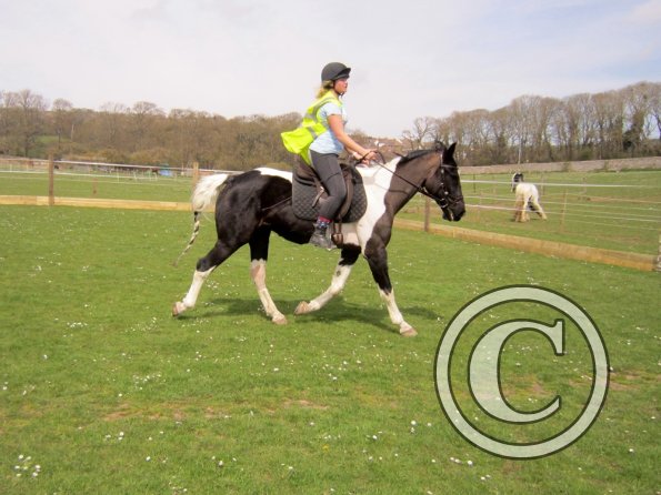 Jade lesson on JD (11)