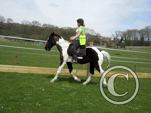 Jade lesson on JD (2)