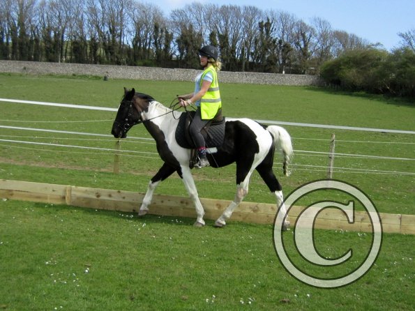 Jade lesson on JD (3)