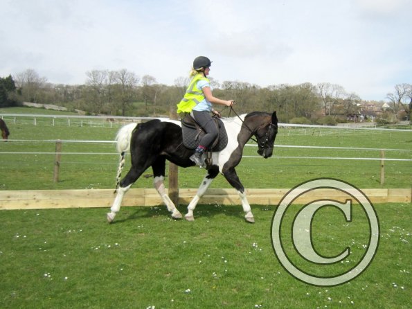 Jade lesson on JD (5)