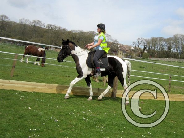 Jade lesson on JD (7)