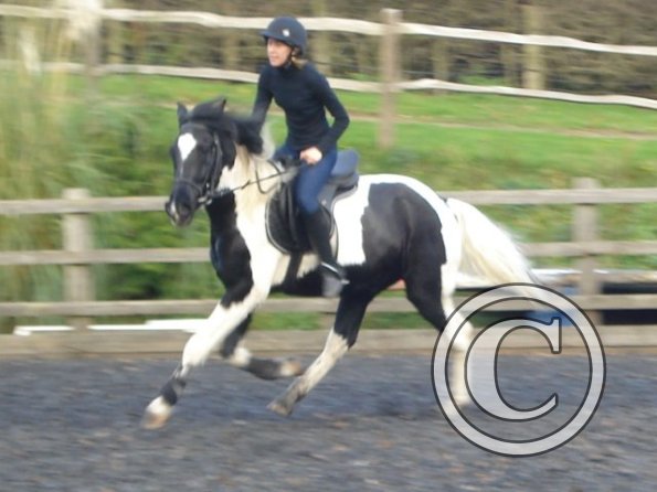 canter