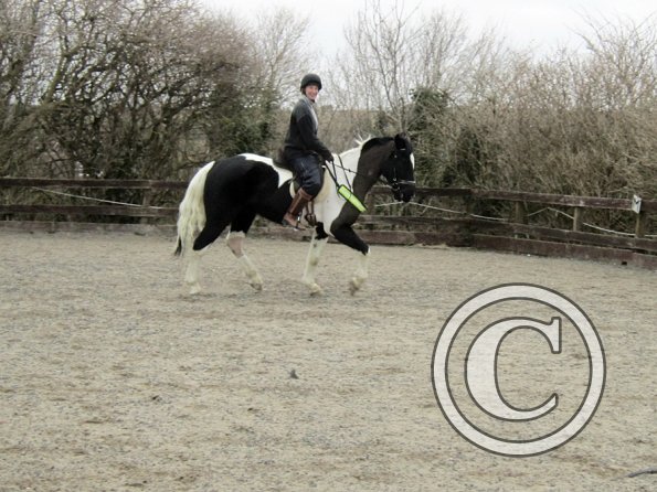 Anna JD schooling (11)