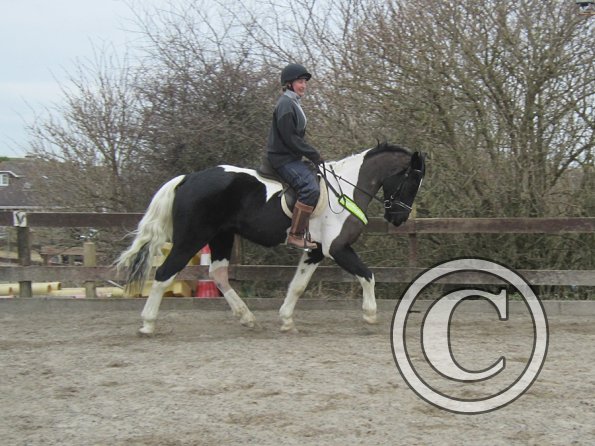 Anna JD schooling (12)