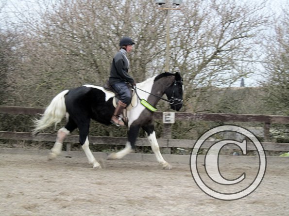 Anna JD schooling (13)