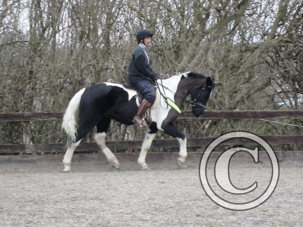 Anna JD schooling (14)