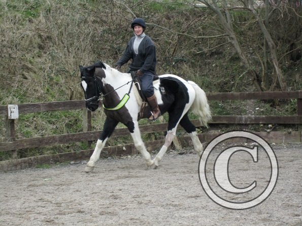 Anna JD schooling (2)