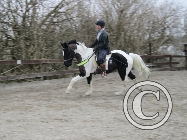 Anna JD schooling (3)