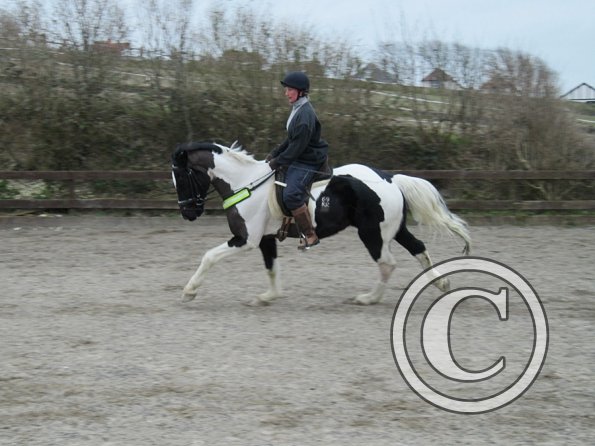 Anna JD schooling (4)