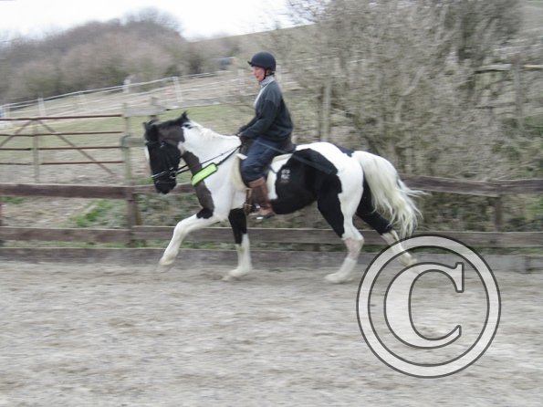 Anna JD schooling (5)