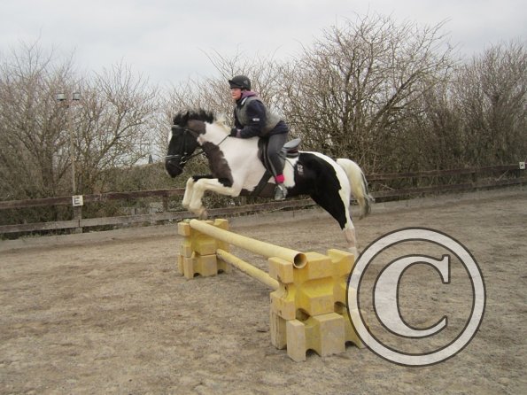 Jade JD jumping (10)