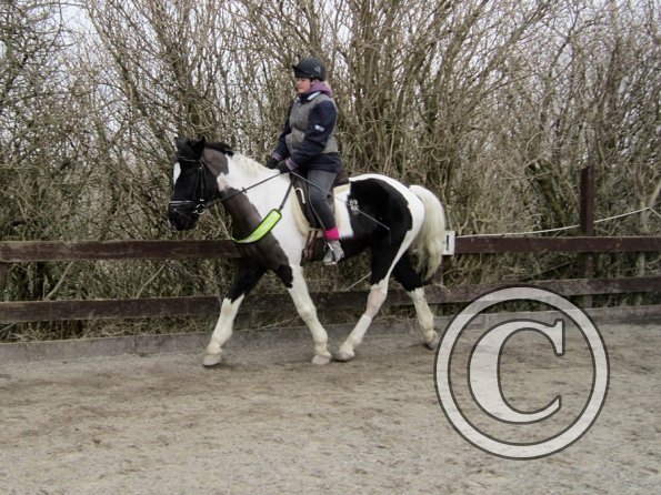 Jade JD schooling (10)