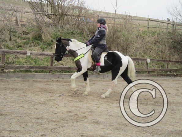 Jade JD schooling (2)